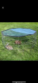 Ren zonder bach, Dieren en Toebehoren, Ophalen, Zo goed als nieuw, Ren