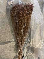 Broom Bloom Lila Droogbloemen, Ophalen of Verzenden, Zo goed als nieuw