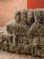 Kleine baaltjes hooi, Zakelijke goederen, Landbouw | Veevoer, Ophalen
