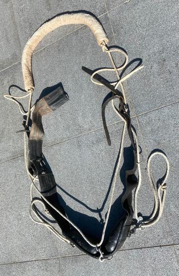 Pessoa leder, volledig training systeem voor paard beschikbaar voor biedingen