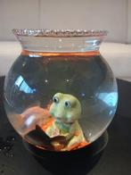 Twee Goudvissen te koop, Dieren en Toebehoren, Zoetwatervis