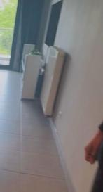 3 radiatoren mogen dringend weg, Doe-het-zelf en Bouw, Verwarming en Radiatoren, Ophalen, Gebruikt