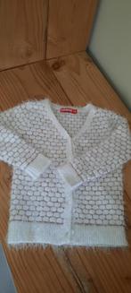 Truitje Someone maat 104, Kinderen en Baby's, Gebruikt, Meisje, Trui of Vest, Ophalen of Verzenden