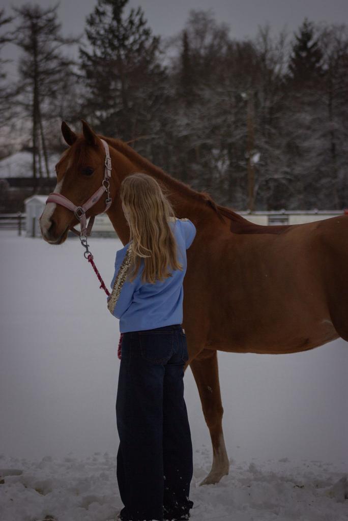 Prachtig D pony te koop, Dieren en Toebehoren, Pony's, Merrie, M, D pony (1.37m tot 1.48m), 7 tot 10 jaar