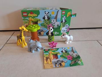 Lego Duplo 10904 Tropical baby animals 100% compleet, Ophalen, Zo goed als nieuw, Duplo