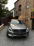 Ml250 2014, Auto's, Automaat, Euro 6, Alcantara, Bedrijf
