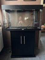 Juwel rio 125 + meubel, Dieren en Toebehoren, Ophalen, Zo goed als nieuw, Leeg aquarium