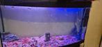 Vissen + aquarium, Dieren en Toebehoren, Vissen | Aquaria en Toebehoren, Ophalen, Zo goed als nieuw