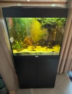 Juwel Lido 120 LED met meubel en JBL-filter, Ophalen, Zo goed als nieuw, Gevuld zoetwateraquarium