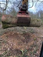 Pince de tri cw30, Zakelijke goederen, Machines en Bouw | Kranen en Graafmachines, Ophalen, Graafmachine