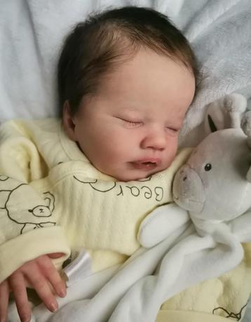 Reborn Primrose slaapt artiest Kelly Dudley - nieuw  beschikbaar voor biedingen