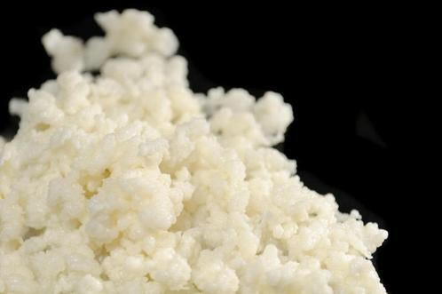 Melk kefir korrels, Diversen, Levensmiddelen, Ophalen