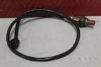 LAMBDASONDE Yamaha YZF R6 2008-2013 (YZF-R6 13S 1JS), Motoren, Gebruikt
