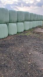 foin, Dieren en Toebehoren, Dierenvoeding, Ophalen of Verzenden, Vee