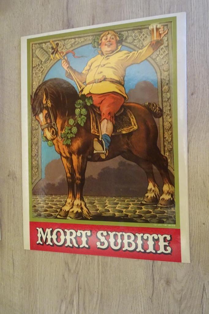Reclame bord bier, Verzamelen, Biermerken, Gebruikt, Reclamebord, Plaat of Schild, Overige merken, Ophalen
