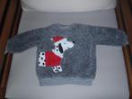 trui maat 74, Kinderen en Baby's, Babykleding | Maat 74, Ophalen of Verzenden, Zo goed als nieuw, Jongetje, Truitje of Vestje