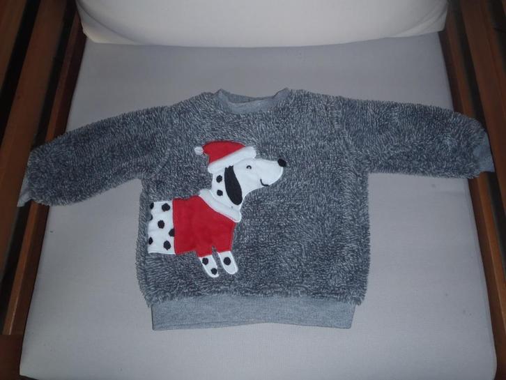 trui maat 74, Kinderen en Baby's, Babykleding | Maat 74, Zo goed als nieuw, Jongetje, Truitje of Vestje, Ophalen of Verzenden