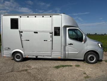 Renault Master paardencamionette beschikbaar voor biedingen