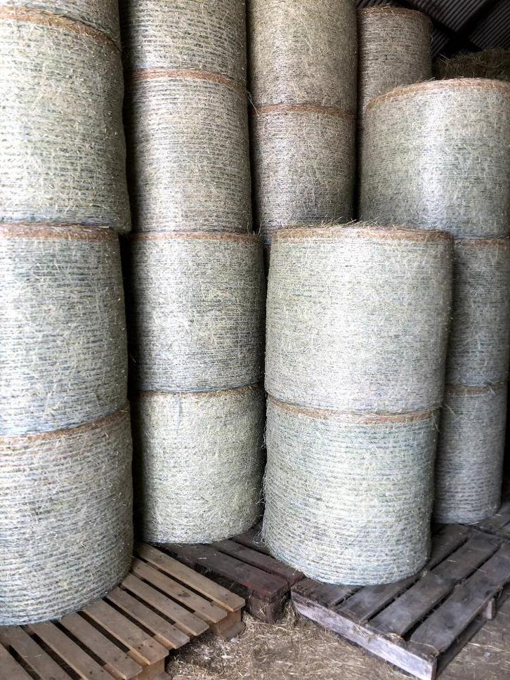 Luzernehooi te koop, Zakelijke goederen, Landbouw | Veevoer, Ophalen
