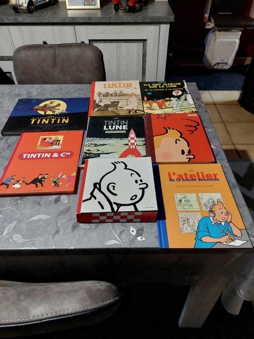 LOTS DE 8 BANDES DESSINEE TINTIN, Collections, Personnages de BD, Neuf, Livre ou Jeu, Tintin, Envoi