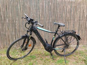 Moteur central BOSCH Performance Pedilec Gepida Handsome Spe, 51 à 55 cm, Enlèvement