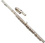 Altofluit gezocht, Muziek en Instrumenten, Ophalen, Gebruikt, Met koffer of tas