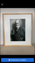 Portrait de FREUD, Enlèvement