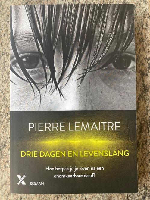 Drie dagen en levenslang - Pierre Lemaitre, Boeken, Thrillers, Gelezen, Ophalen of Verzenden