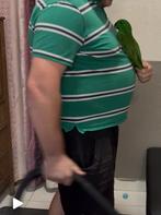 Jonge mannelijke eclectus EAM, Dieren en Toebehoren, Mannelijk, Papegaai, Geringd