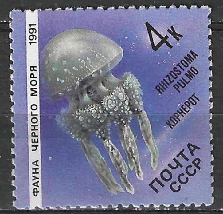 Rusland 1991 - Yvert 5818 - Bloemkoolkwal - 4 k. (PF), Postzegels en Munten, Postzegels | Europa | Rusland, Verzenden