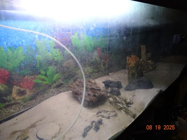 grand aquarium 250 L X 70 H X 50CM L, Dieren en Toebehoren, Vissen | Aquaria en Toebehoren, Gebruikt, Leeg aquarium, Ophalen