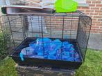 hamsterkooi, Kooi, Gebruikt, Minder dan 75 cm, Hamster