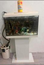 Aquarium te koop met alle toebehoren 120€, Dieren en Toebehoren, Ophalen