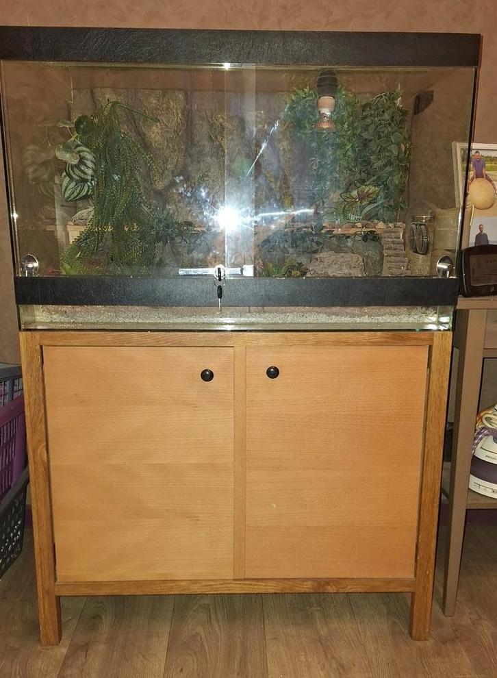 Terrarium, Animaux & Accessoires, Reptiles & Amphibiens | Accessoires