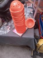 Vogel nestjes, Dieren en Toebehoren