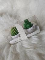 Twee cactusvormige kaarsen, Vert, Enlèvement ou Envoi, Bougie, Neuf