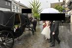 Paarden Koest Rijtuig Grand Luxe, Dieren en Toebehoren, Zo goed als nieuw