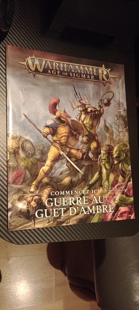 Warhammer Age of Sigmar, eindboekje over de oorlog op zoek n, Hobby en Vrije tijd, Wargaming, Zo goed als nieuw, Warhammer, Boek of Catalogus