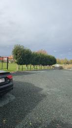 Opzoek naar een boerderij te koop regio kortrijk, Dieren en Toebehoren