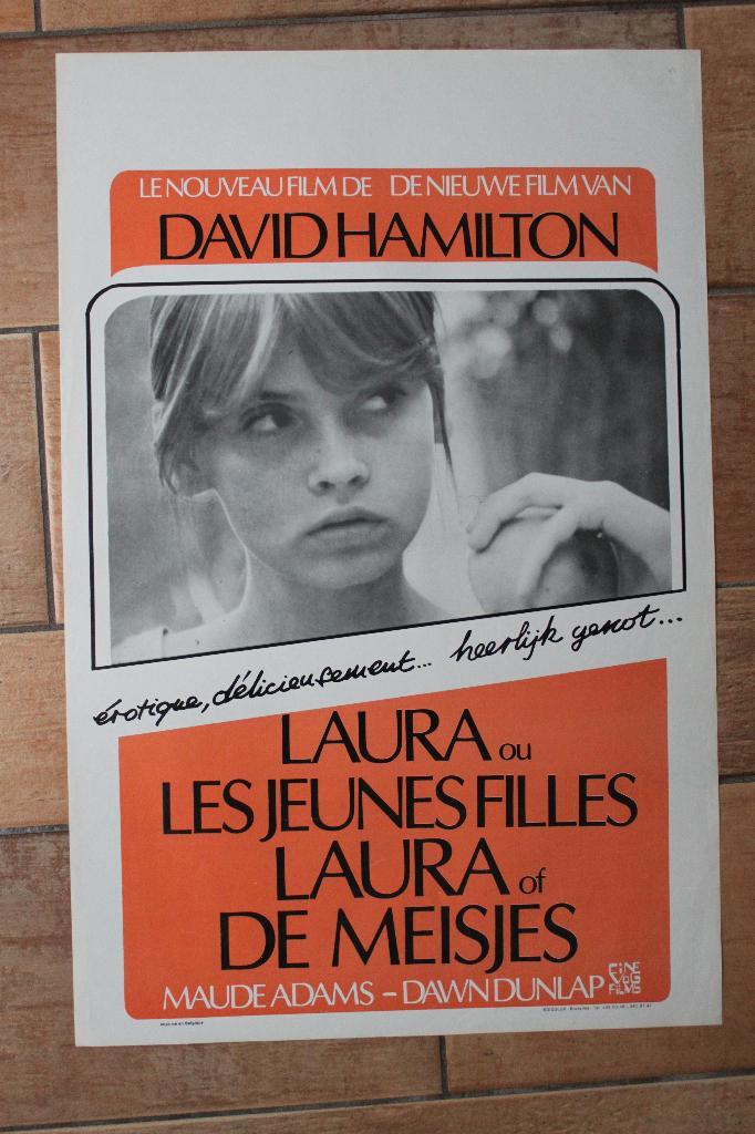 filmaffiche David Hamilton Laura ou les jeunes filmposter, Verzamelen, Posters, Zo goed als nieuw, Film en Tv, A1 t/m A3, Rechthoekig Staand