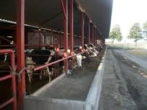 melkstalvloeren gemaakt tussen melkbeurten door, Zakelijke goederen, Landbouw | Veevoer, Ophalen of Verzenden