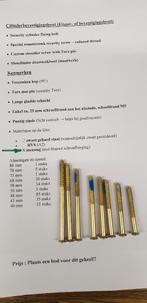 Veiligheidscilinderbevestigingsbout- sloten  ( Messing), Doe-het-zelf en Bouw, Ophalen, Nieuw, Overige materialen, Slot