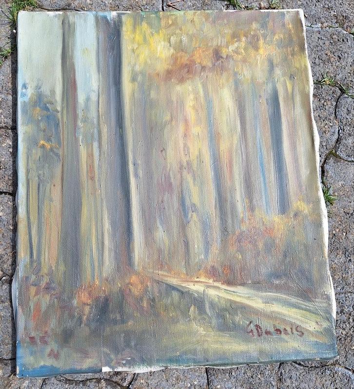 G.Dubois Wood Edge Paint (ter waarde van 200€), Antiek en Kunst, Kunst | Schilderijen | Klassiek, Ophalen of Verzenden