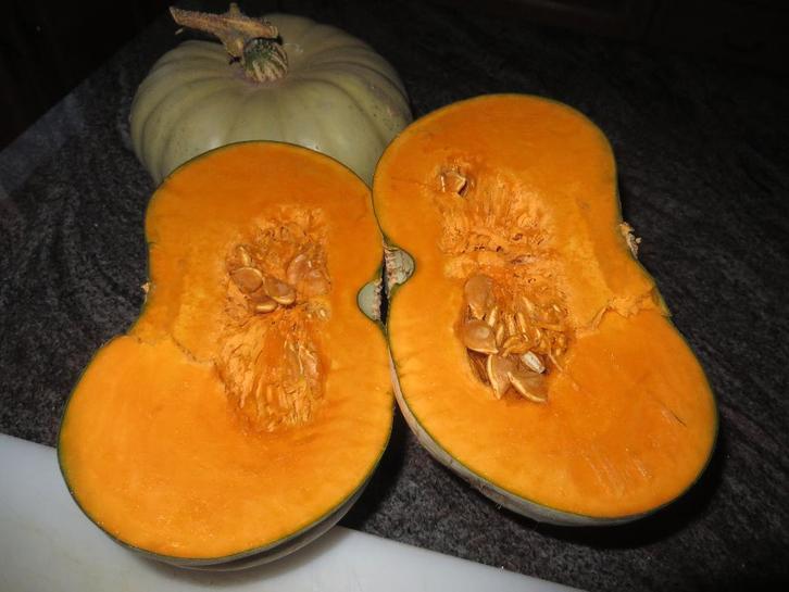 citrouilles biologiques, Divers, Produits alimentaires, Enlèvement