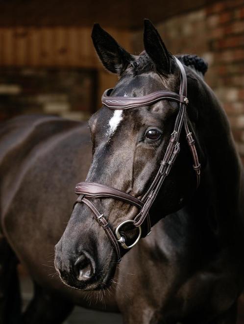 LeMieux Kudos Contour Flash Hoofdstel Bruin Full SUMMER SALE, Dieren en Toebehoren, Paarden en Pony's | Hoofdstellen en Tuigage