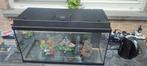 Juwel Rio aquarium 110 liter, Ophalen, Zo goed als nieuw, Verlichting