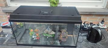 Juwel Rio aquarium 110 liter beschikbaar voor biedingen