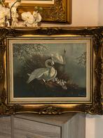 Schilderij zwanen rongy a 1976, Antiek en Kunst, Ophalen