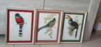 Prachtige decoratie van exotische vogels, Ophalen, Zo goed als nieuw