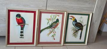 Prachtige decoratie van exotische vogels, Huis en Inrichting, Ophalen, Zo goed als nieuw